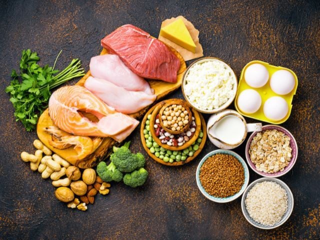 assortment of protein sources 