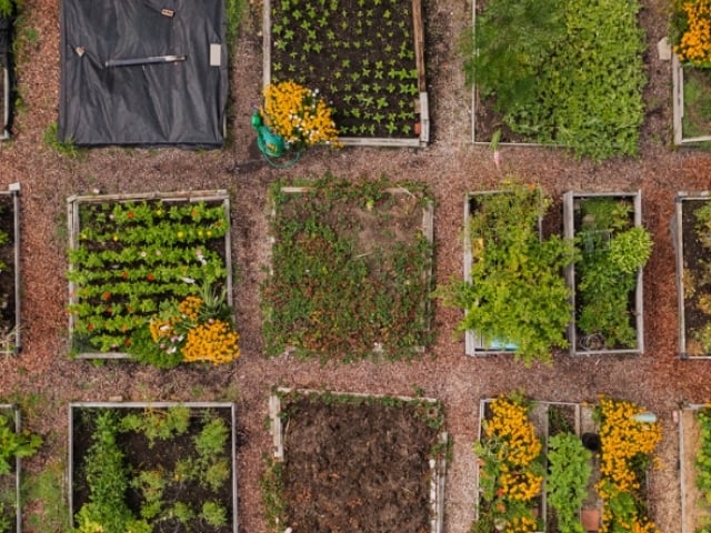 aerial image of garden beds at kendal 