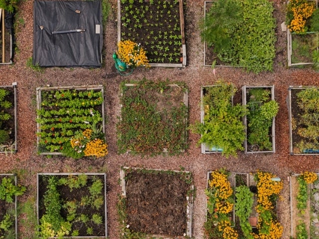 aerial view of community garden