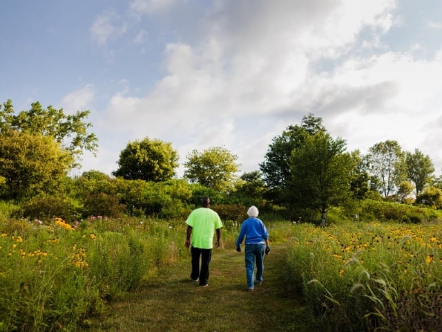 woman and man walking on wildflower hill at Kendal 