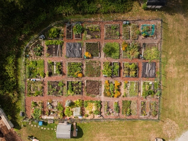 aerial view of community garden