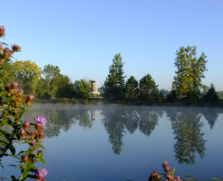 A lake surrounded by trees