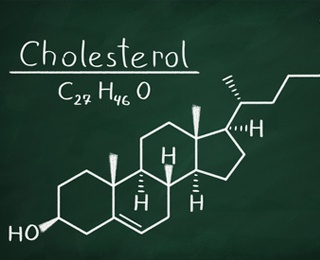 Kendal-cholesterol.jpg