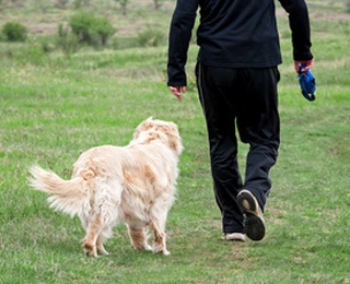 Physical Benefits of Owning a Pet