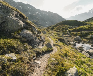 The Why and How of Travel