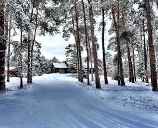 path up a hill in a woods with snow