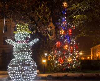 christmas lights and a snowman that is lit up