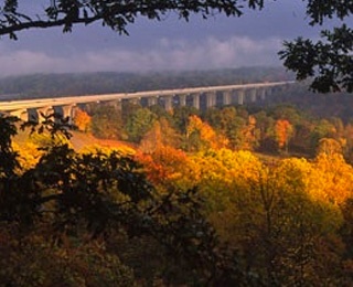 Enjoy the Season with Fall Activities