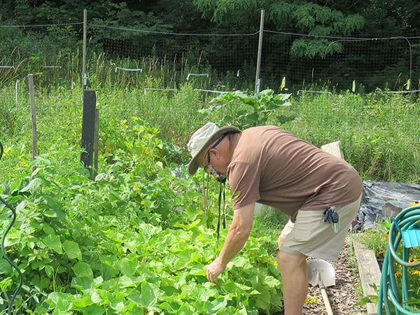 man working in community garden