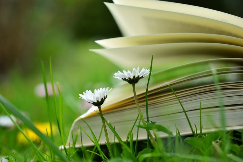 books in nature