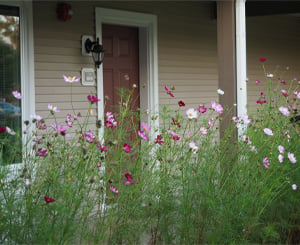 retirement community apartment with flowers