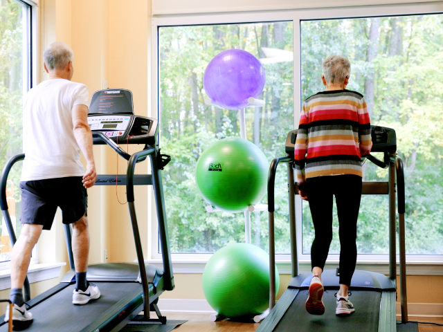 treadmill walkers 