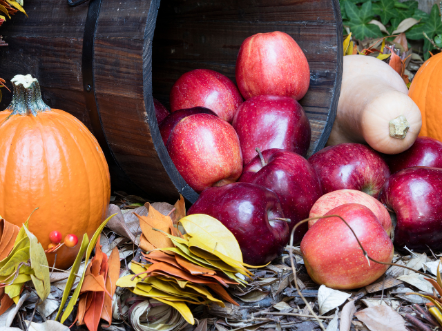 apples and squash