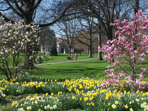 Summer in Oberlin