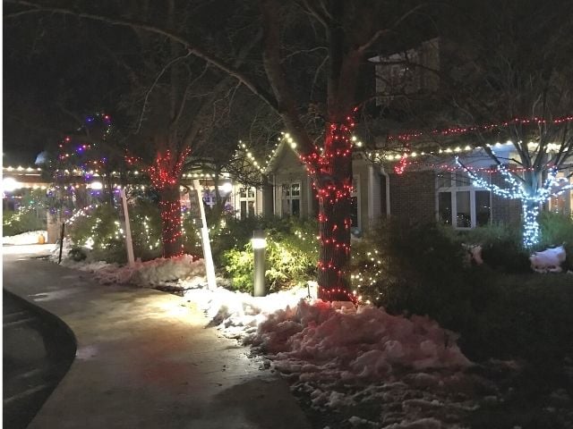 Tree lights 