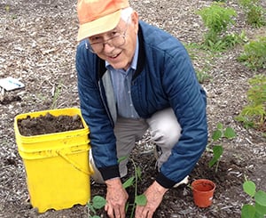  Older man planting flowers in the dirt
