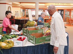 Two ladies volunteering at a food bank