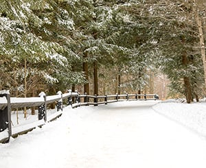  Michigan road with pine trees covered in beautiful snow