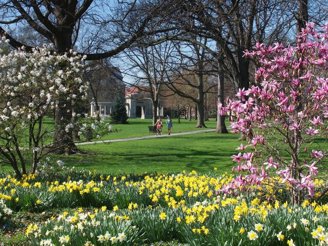 Oberlin Heritage Center Blog